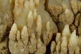 Fascinating, Calcite/Aragonite Stalactite Formation - China #377336-6